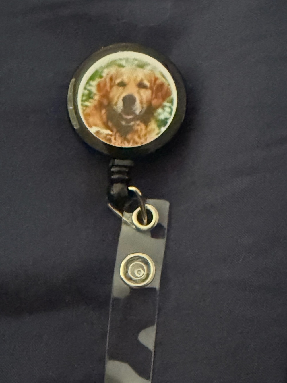 Black Dog Retractable Badge Reel with Golden Retriever Image